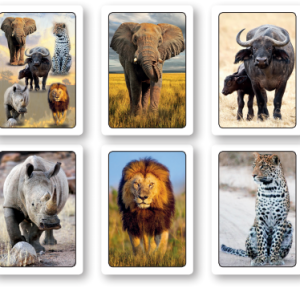 Big Five All Playing Cards