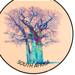 Button Magnet Baobab Tree