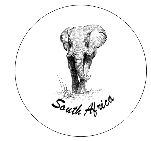 Button Magnet Bull Elephant Drawing