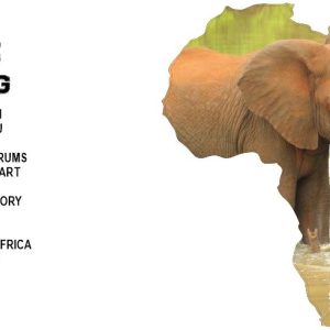 Button Magnet Elephant in Water