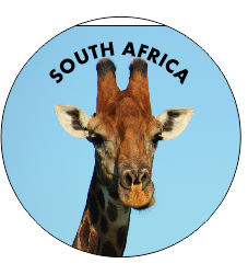 Button Magnet Giraffe Head