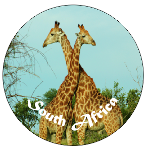 Button Magnet Giraffe