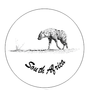 Button Magnet Hyena Drawing