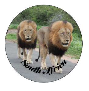 Button Magnet Jock Brothers