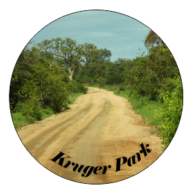 Button Magnet Kruger Road