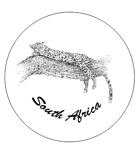 Button Magnet Leopard Drawing