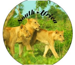 Button Magnet Young Lion Brothers