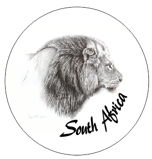 Button Magnet Lion Drawing