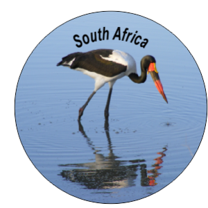 Button Magnet Saddle Bill Stork