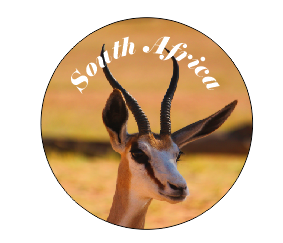Button Magnet Springbok
