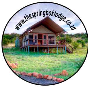 Button Magnet Customised