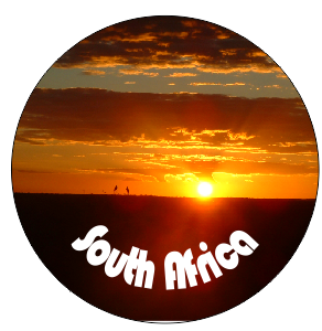 Button Magnet Sunset Birds