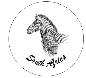Button Magnet Zebra Drawing