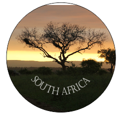 Button Magnet Tree Sunset