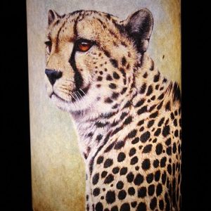 Candle Shade Cheetah Assorted