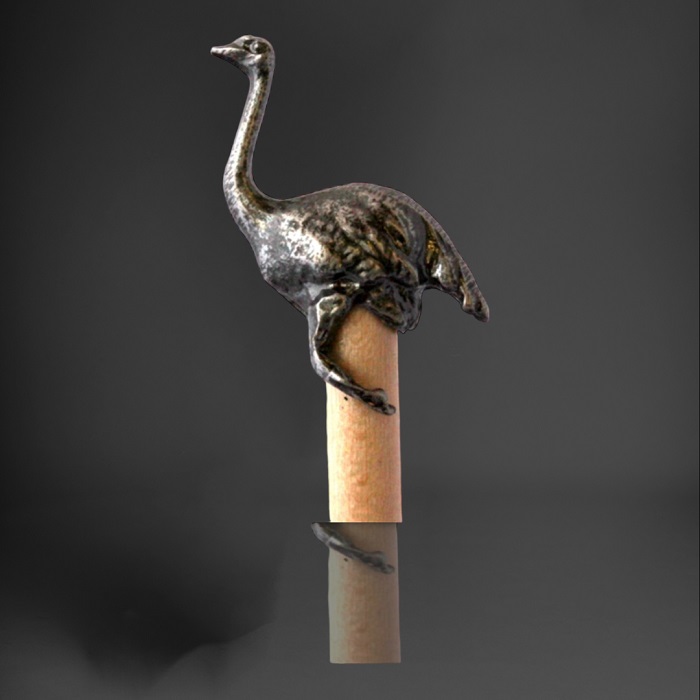 Pencil Ostrich