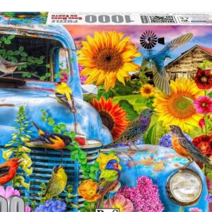 Song Birds on Earth 1000pc Puzzle