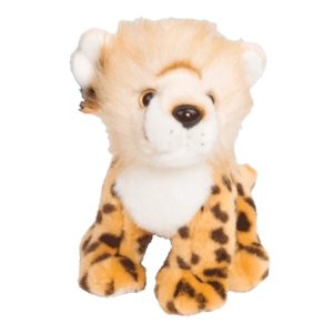 Baby Cheetah Sitting