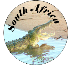Button Magnet Crocodile