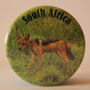 Button Badge Black Backed Jackal