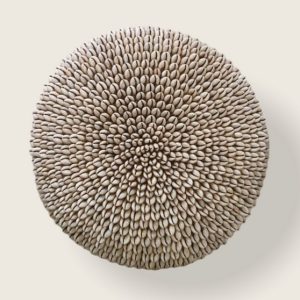 Cameroon beaded shield cowrie shells 30cm